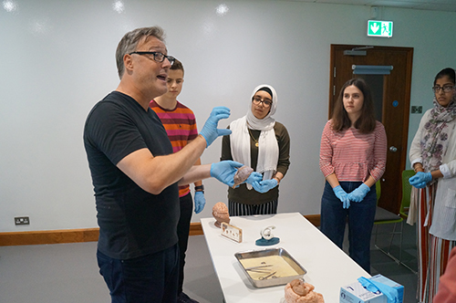 Guy Sutton teaching a brain dissection